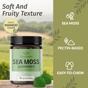 herbamama-irish-sea-moss-gummies---1600m-4.jpg