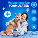 probiotics-for-dogs---support-gut-health-6.jpg