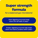 enzymedica-candidase-extra-strength-supp-4.jpg