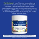 gundry-md-vital-recharge-supplement-powd-3.jpg