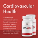 stop-aging-now---red-q10-organic-red-yea-2.jpg