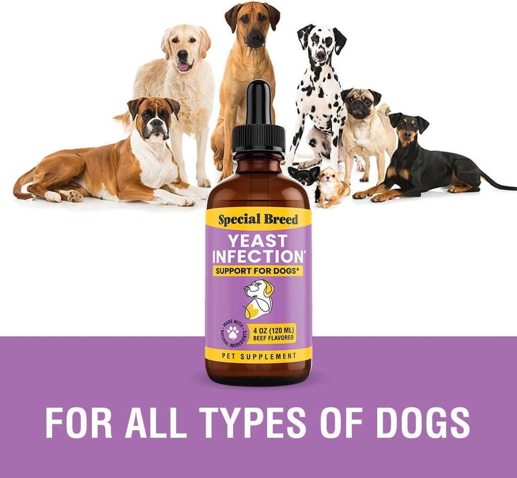 yeast-infection-treatment-for-dogs---4-o-4.jpg