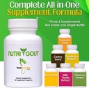 nutrigout-and-topical-analgesic-joint-di-4.jpg
