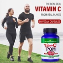 the-food-movement-vitamin-c-pom---pomegr-5.jpg