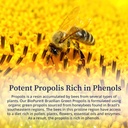 biopure-brazilian-green-propolis-pure-pr-5.jpg