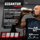 undefined-nutrition-gigantor-mass-gainer-5.jpg