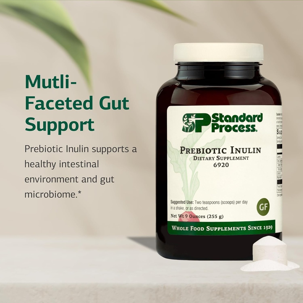 standard-process-prebiotic-inulin---gut--3.jpg