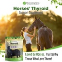 silver-lining-herbs-thyroid-support-for--6.jpg