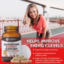 mushroom-supplement-energy-support-organ-3.jpg