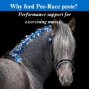 su-per-pre-race-paste-for-horses---perfo-3.jpg