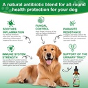 antibiotics-for-dogsnatural-antibiotics--2.jpg