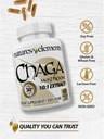chaga-mushroom-101-standardized-extract--3.jpg