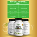 nicoya-puratea-max-green-tea-extract-gre-5.jpg