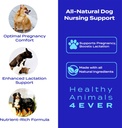 ha4e---canine-pregnancy-nursing-support--2.jpg
