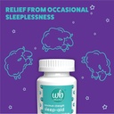 wellness-basics-sleep-aid-maximum-streng-3.jpg