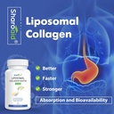 liposomal-hydrolyzed-collagen-peptides-1-2.jpg
