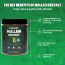 mullein-gummies-2000mg-for-lung-support--4.jpg
