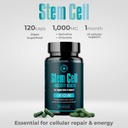 premium-stem-cell-supplements-1000mg-360-5.jpg