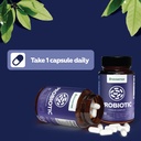 probiotics-and-prebiotics-gut-health-sup-5.jpg