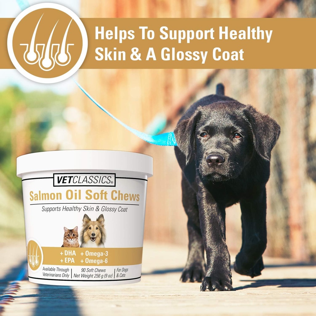 vet-classics-salmon-oil-pet-supplement-f-3.jpg