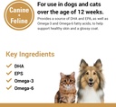vet-classics-salmon-oil-pet-supplement-f-5.jpg