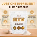 brad-100-pure-micronized-creatine-monohy-4.jpg