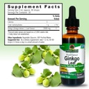 natures-answer-alcohol-free-ginkgo-leaf--3.jpg
