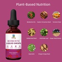 berberine-hcl-supplement---berberine-liq-3.jpg