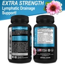 lymphatic-drainage-supplements-pills---l-3.jpg