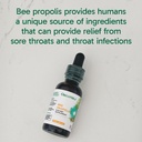 organika-bee-propolis-tincture-1-oz-vega-3.jpg