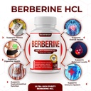 berberine-supplement-1800mg---premium-be-3.jpg