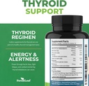 thyroid-support-for-women-and-men-with-i-3.jpg