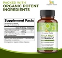 organic-veda-amla-fruit-capsules-20-x-co-2.jpg