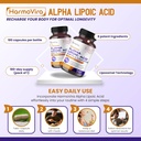 alpha-lipoic-acid-acetyl-l-carnitine---s-4.jpg