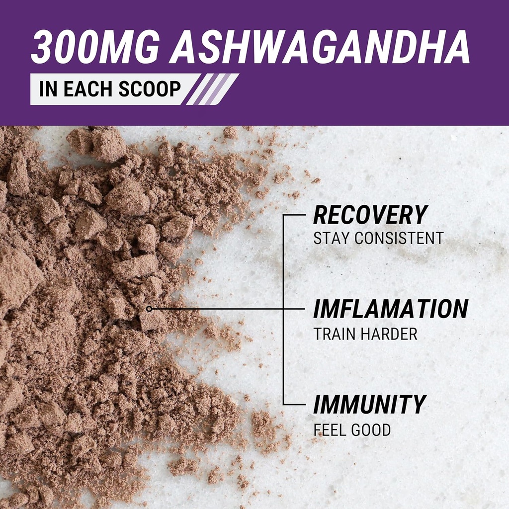 ashwagandha-protein-powder-24g-chocolate-4.jpg