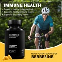 ultra-high-strength-berberine-hcl-1200mg-6.jpg