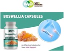 boswellia-capsules-500mg-180-capsules-90-4.jpg