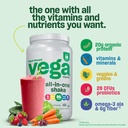 vega-organic-all-in-one-vegan-protein-po-5.jpg