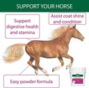stance-power-powdered-coconut-oil-horse--4.jpg
