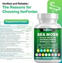 sea-moss-7000mg---black-seed-oil-2000mg--3.jpg