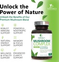 mushroom-brain-supplement-1330-mg---10-i-5.jpg
