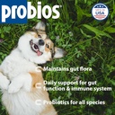 probios-digestive-support-probiotic-for--2.jpg