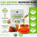maju-superfoods-mental-mushrooms-bundle-2.jpg