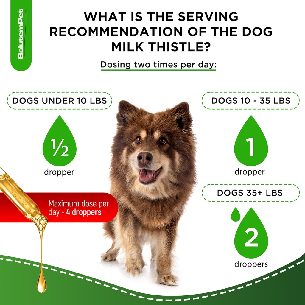 milk-thistle-for-dogs-dog-liver-suppleme-6.jpg