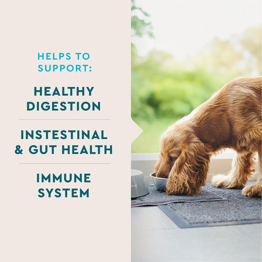 vetiq-probiotic-supplement-for-dogs-dige-3.jpg