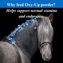 su-per-oxy-up-performance-horse-suppleme-5.jpg