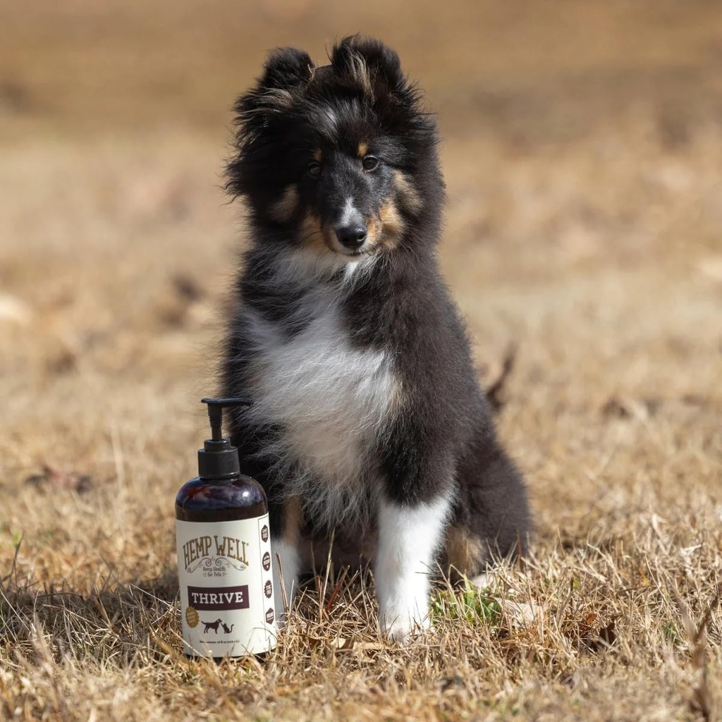 hemp-well-thrive-oil-for-dogs-and-cats-s-4.jpg