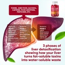 vvnaturals-sugar-free-26-in-1-liver-clea-2.jpg