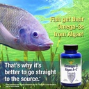 rna-reset-omega-3-algae-ae-plant-based-d-3.jpg