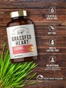 carlyle-grass-fed-beef-heart-supplement--4.jpg